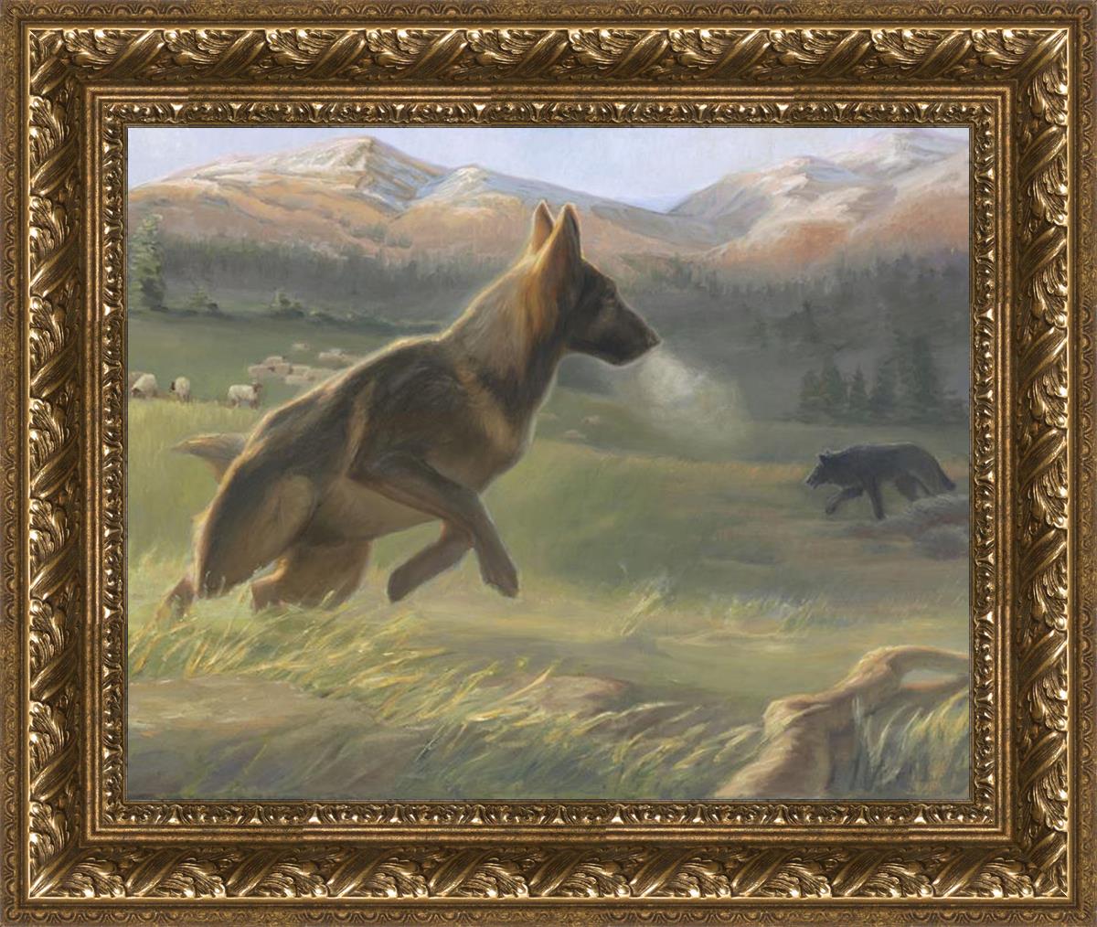 Sheep Dog