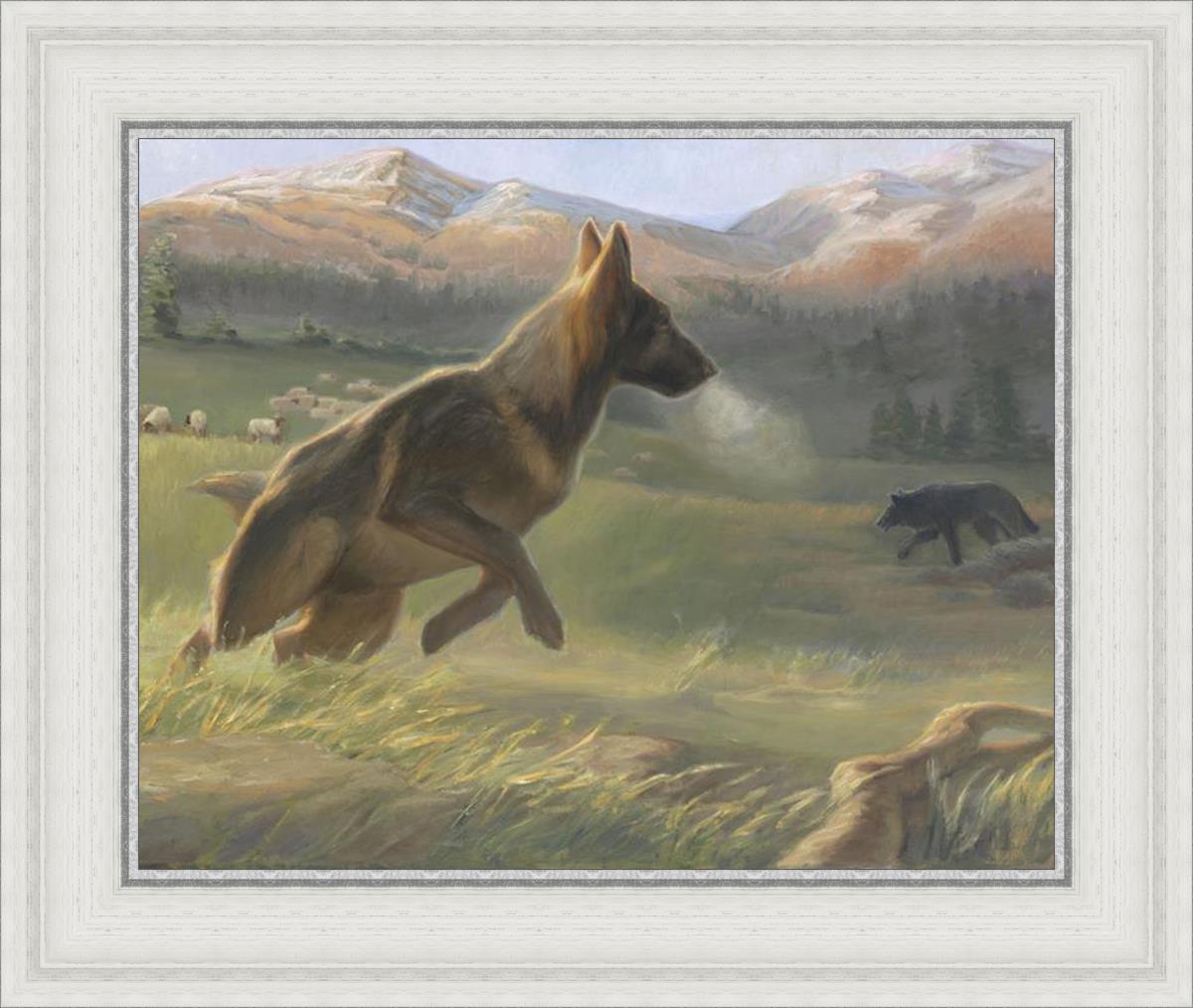 Sheep Dog