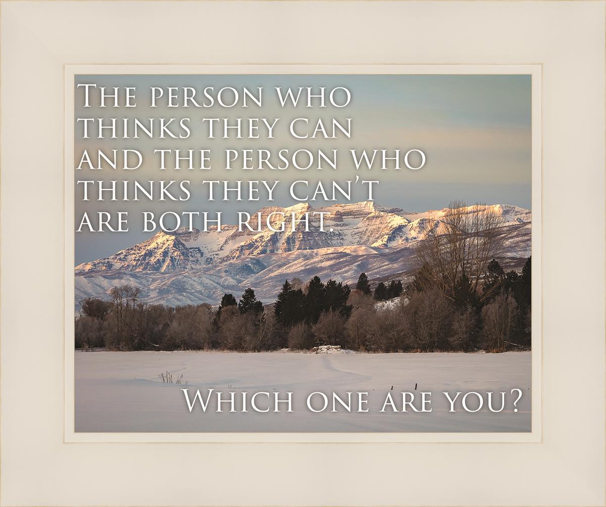 Who Thinks They Can Motivational Poster