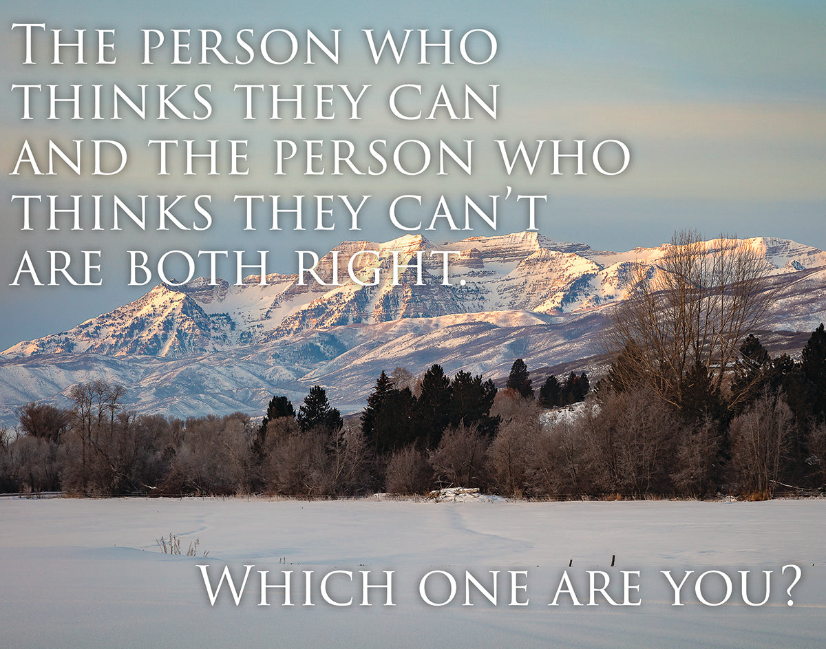 Who Thinks They Can Motivational Poster