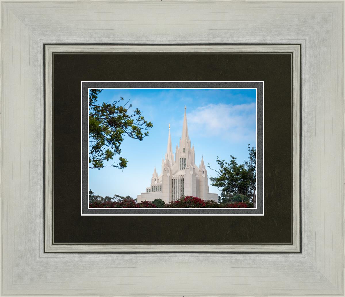 San Diego California Towering Spires