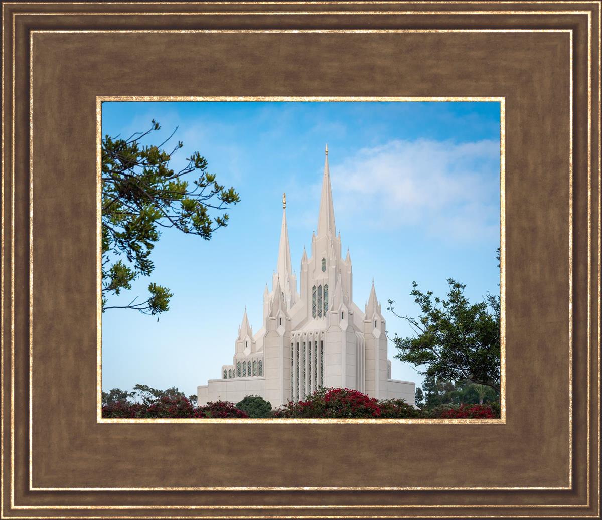 San Diego California Towering Spires