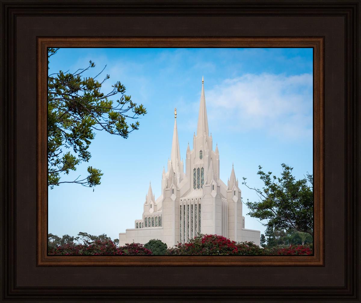 San Diego California Towering Spires