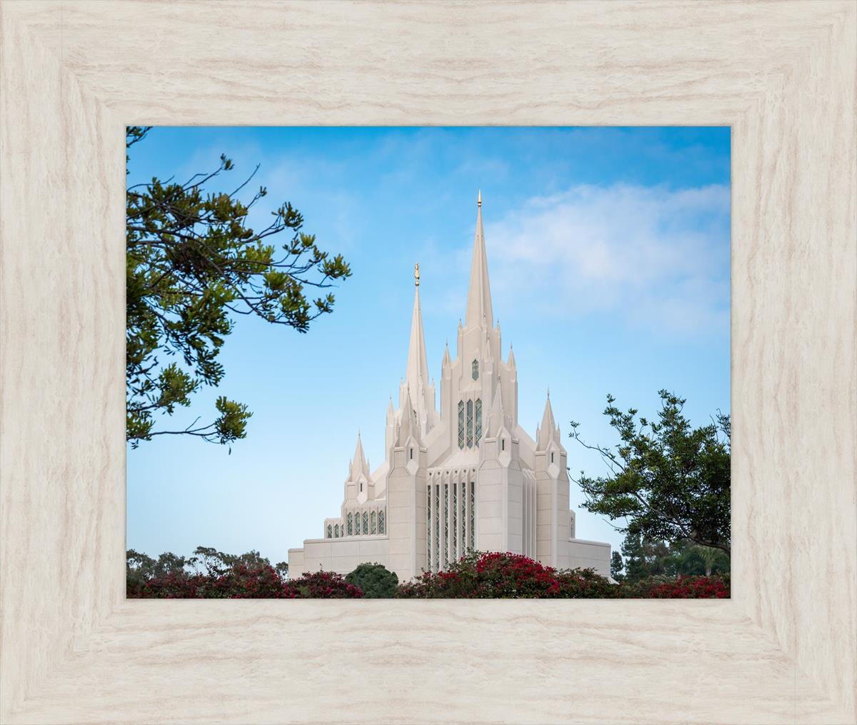 San Diego California Towering Spires