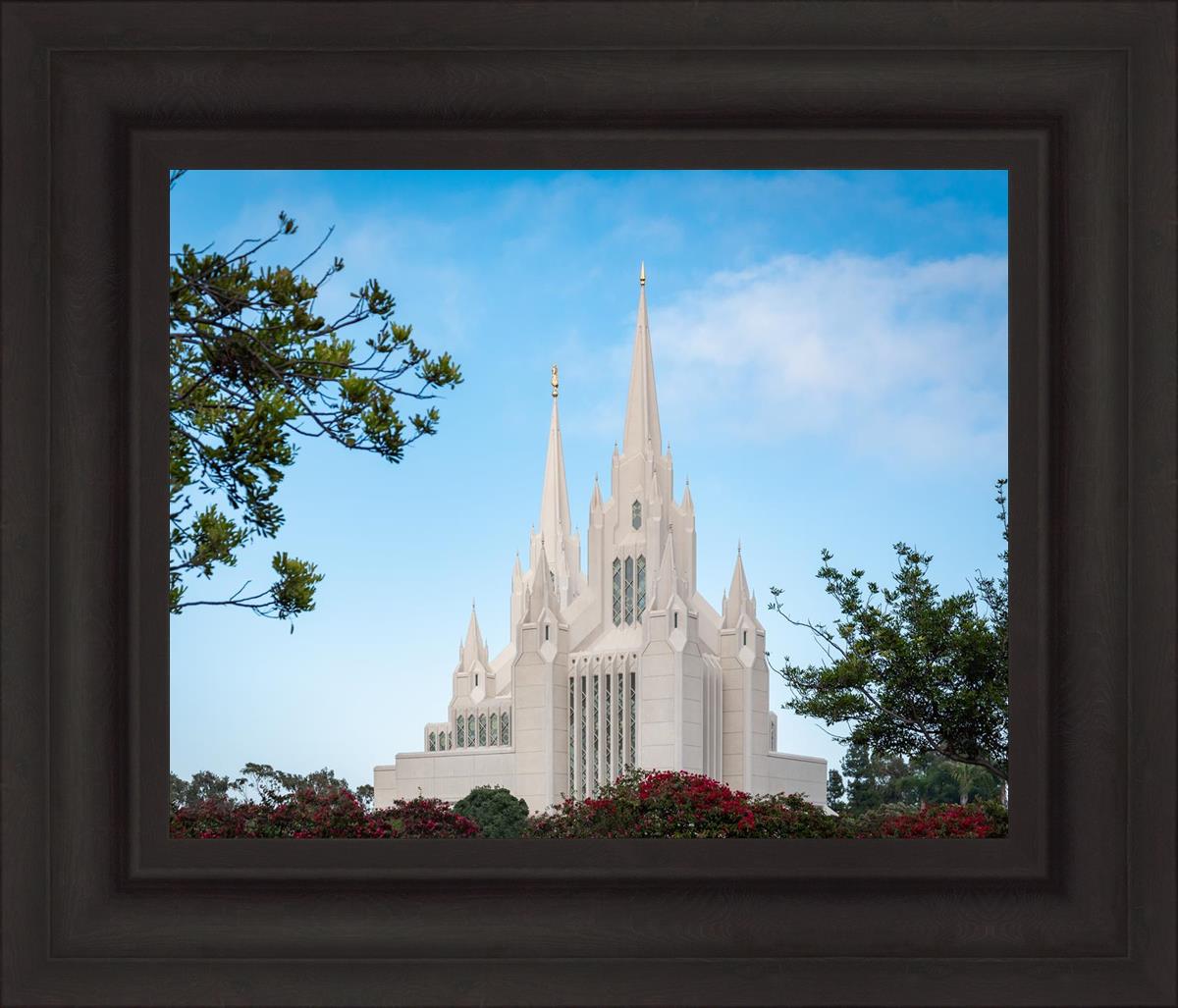 San Diego California Towering Spires