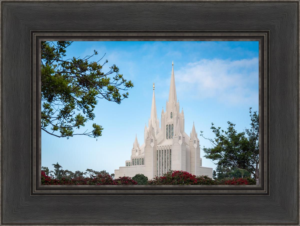 San Diego California Towering Spires
