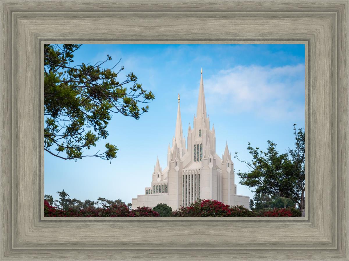 San Diego California Towering Spires