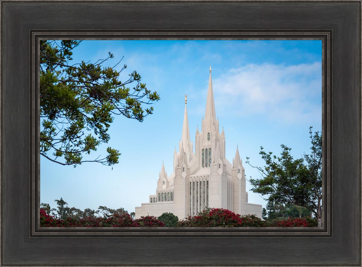 San Diego California Towering Spires