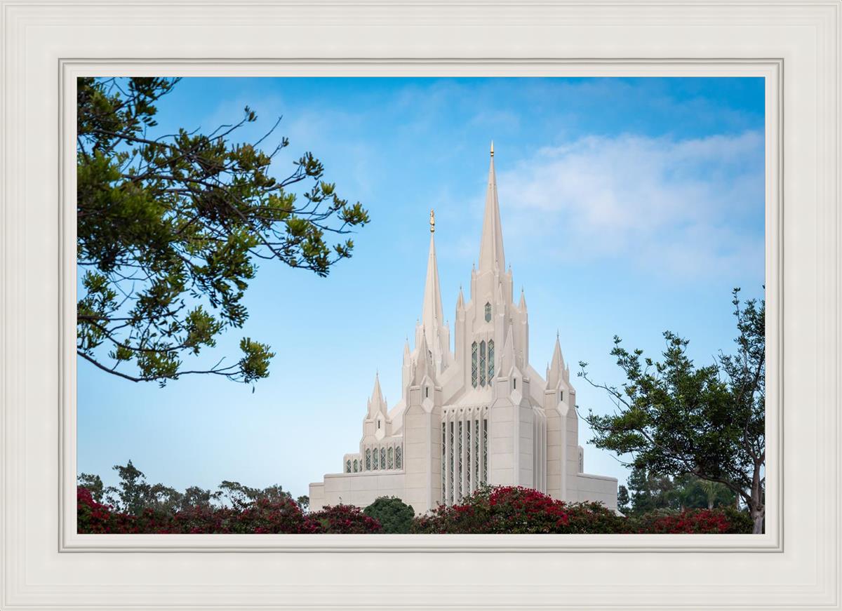 San Diego California Towering Spires