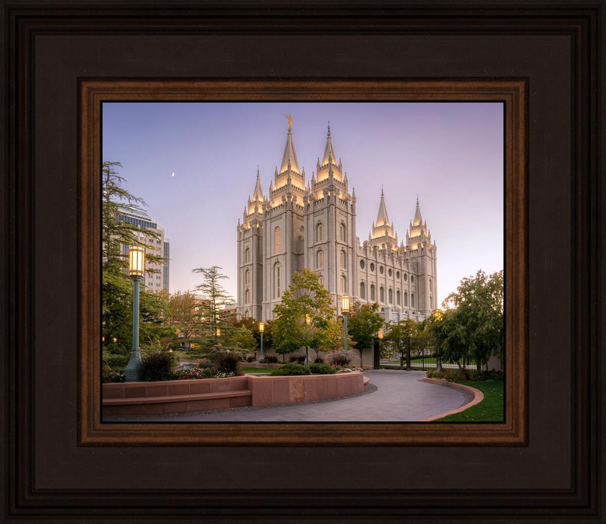 Salt Lake Evening Lights