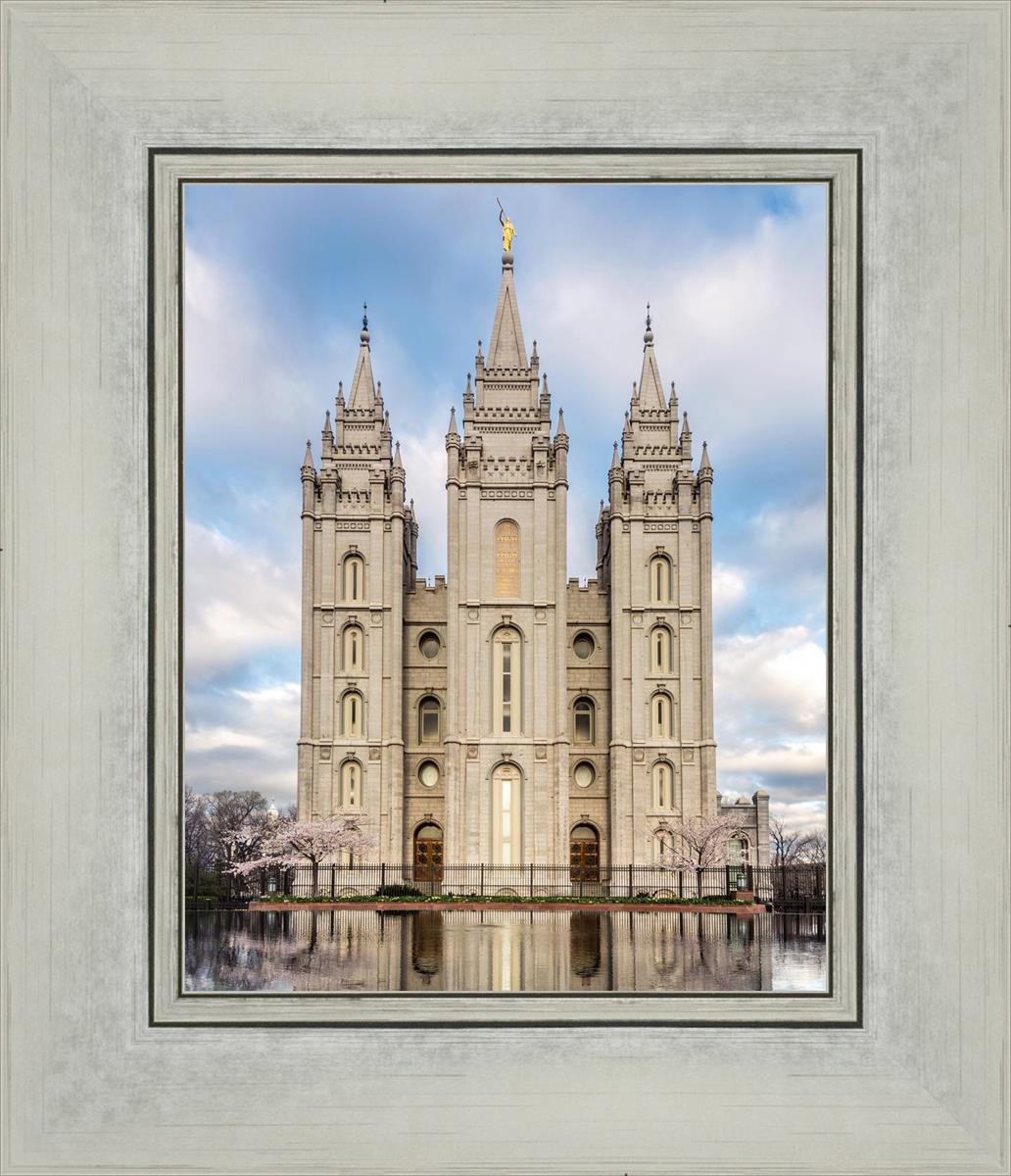 Salt Lake Reflecting Eternity