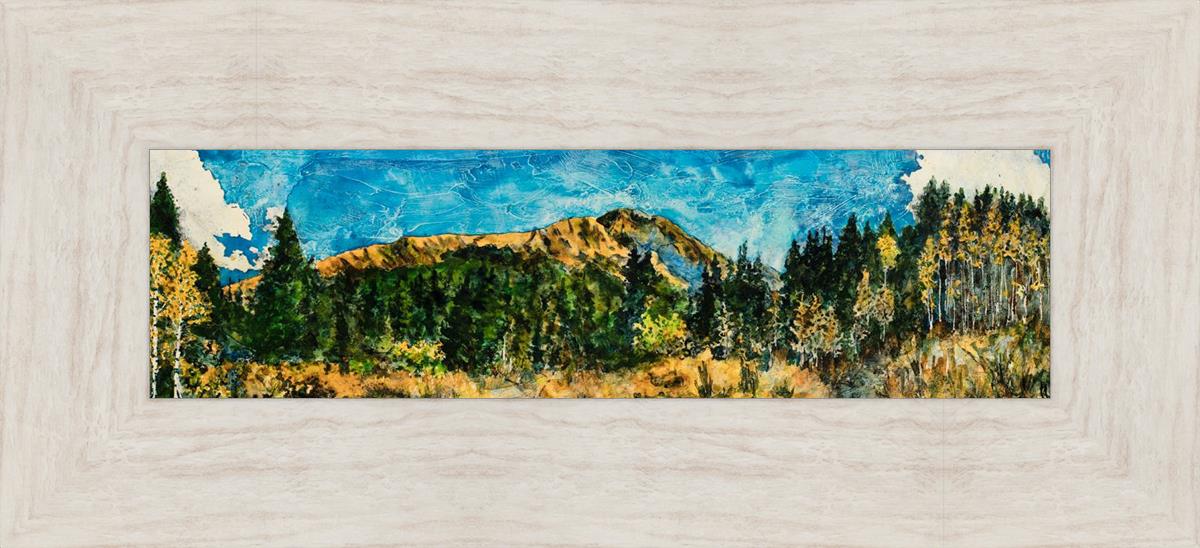 Mountain Meadow