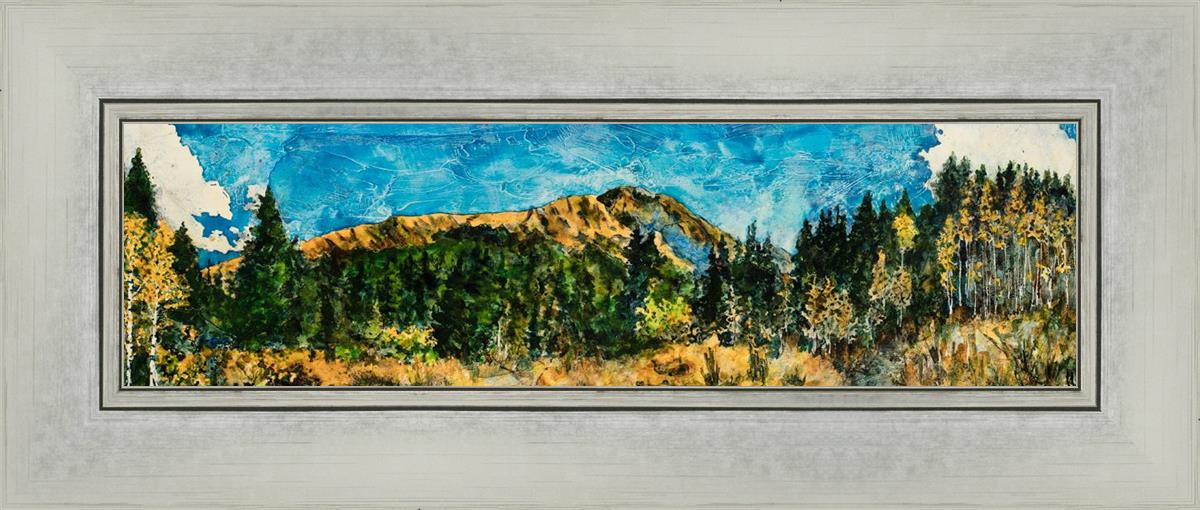 Mountain Meadow