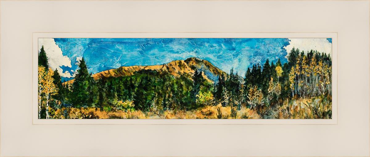 Mountain Meadow