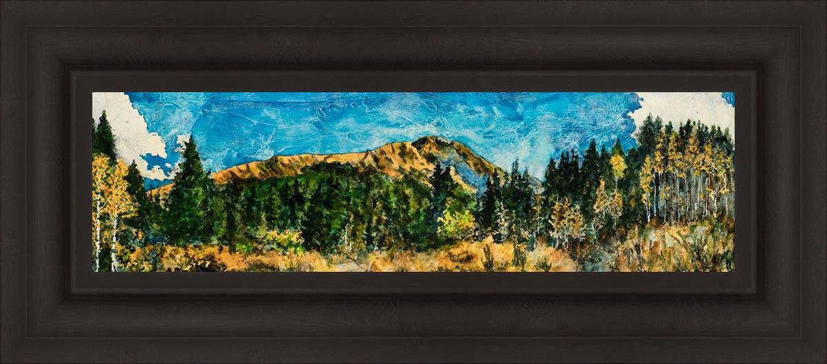 Mountain Meadow
