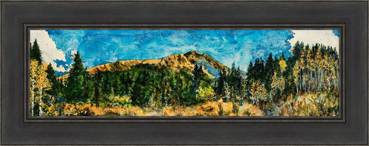 Mountain Meadow