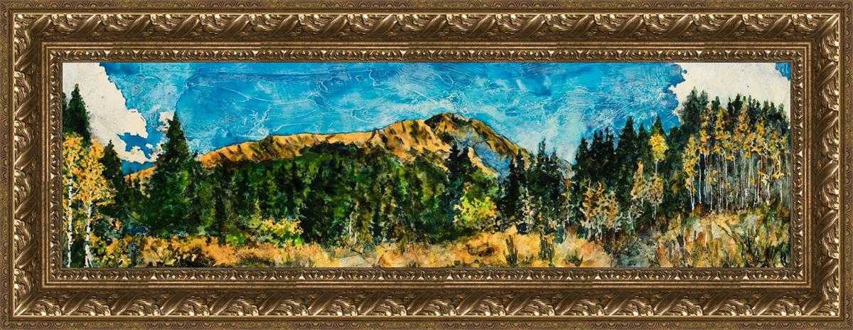 Mountain Meadow