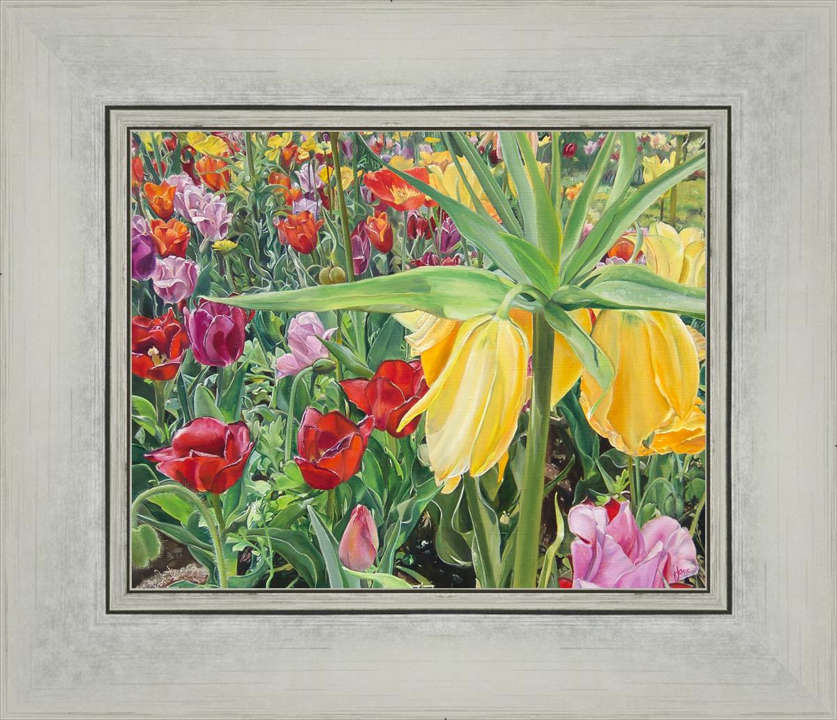 Carousel Tulips