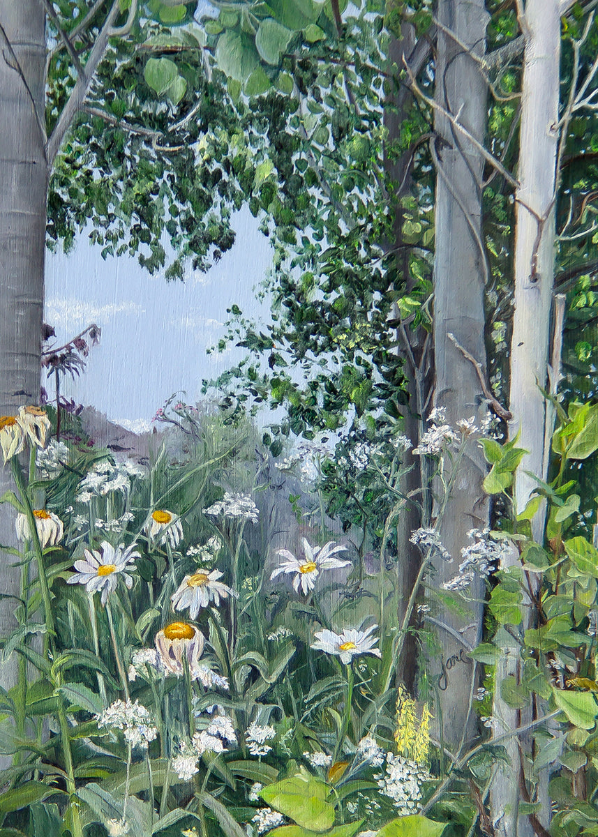 Quakies and Lilies