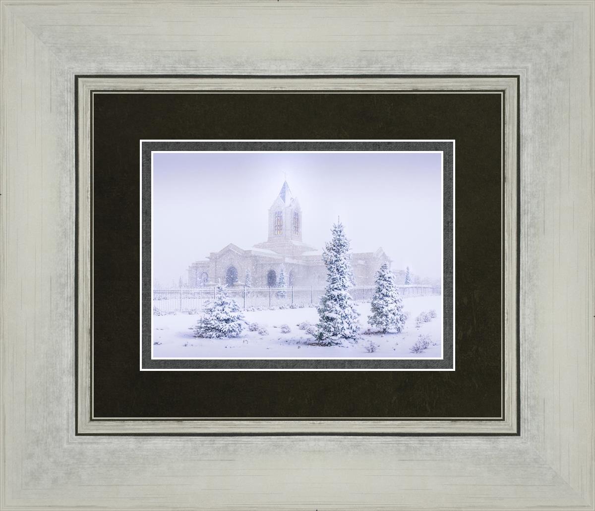 Fort Collins Shelter from the Storm