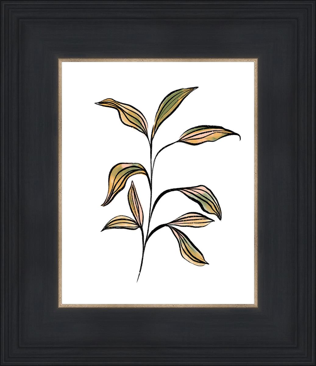 Seedling