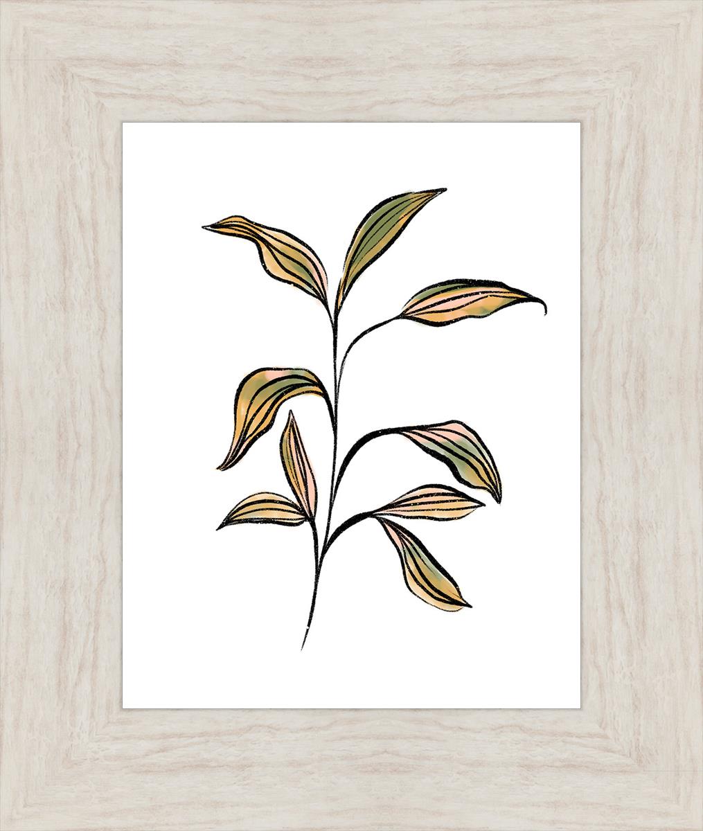 Seedling