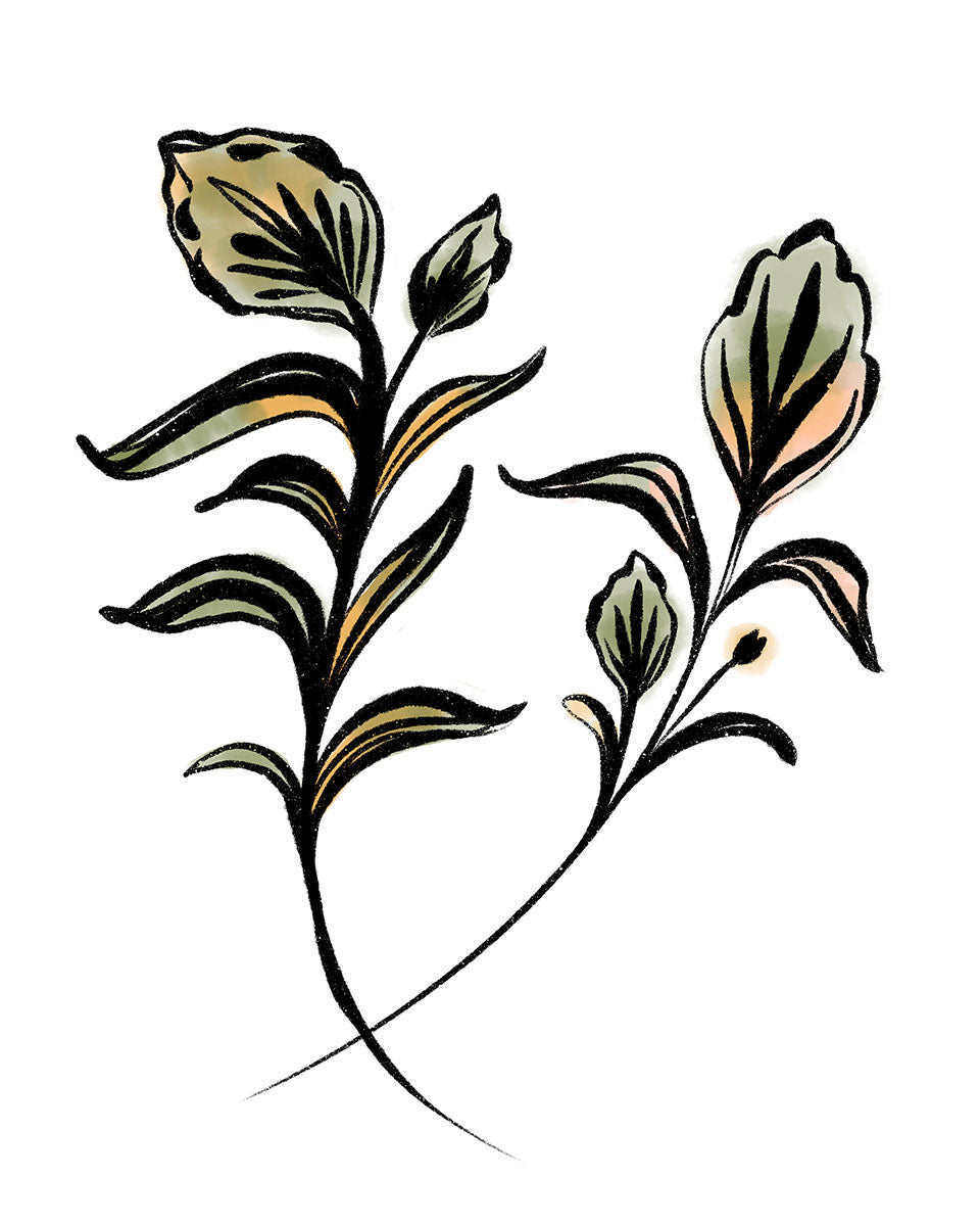 Flora