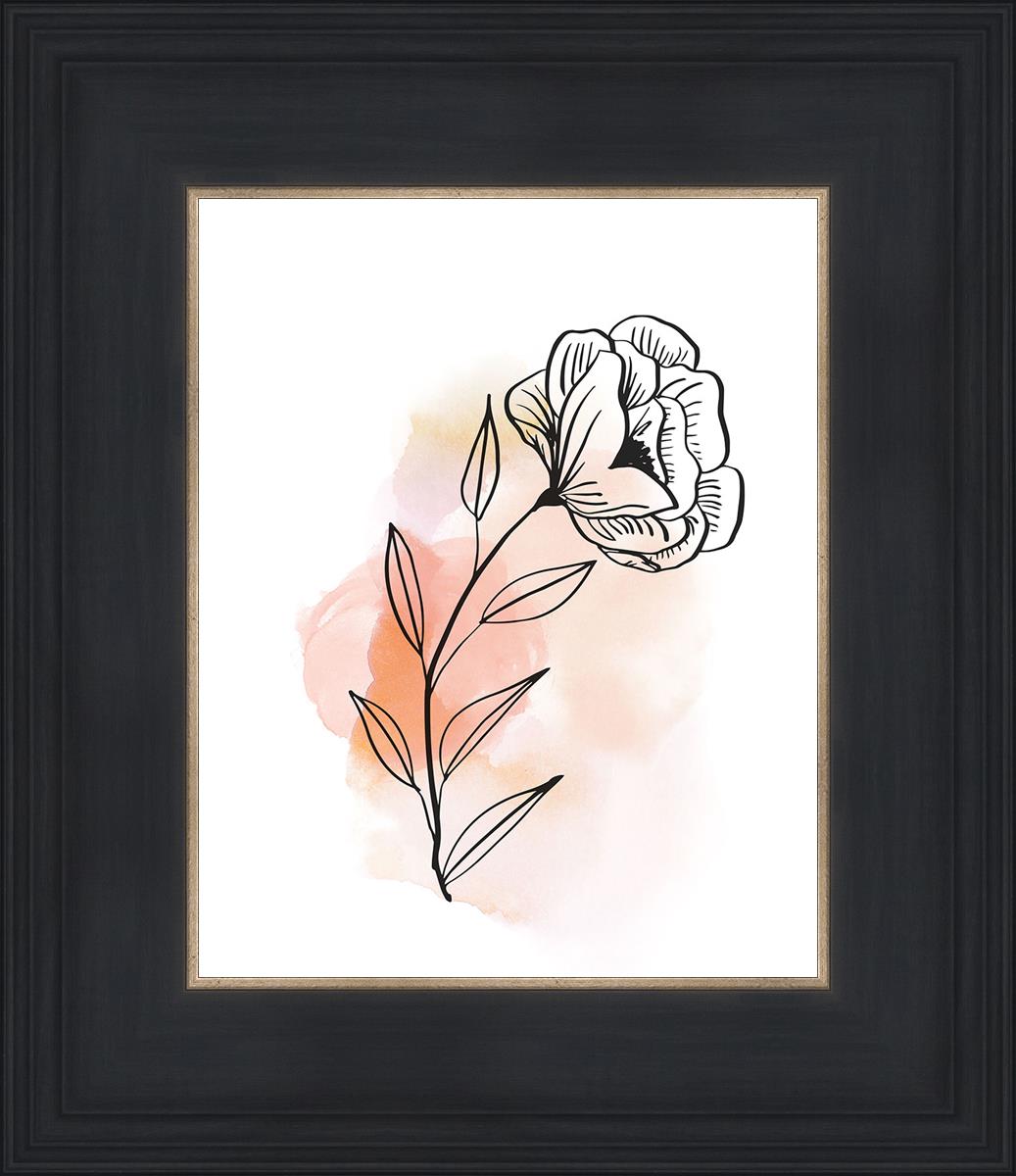 Prarie Rose