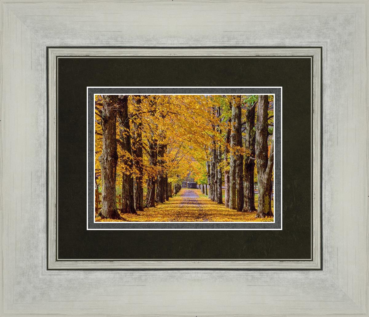 Plate 1 - Dairy Hill Horizontal