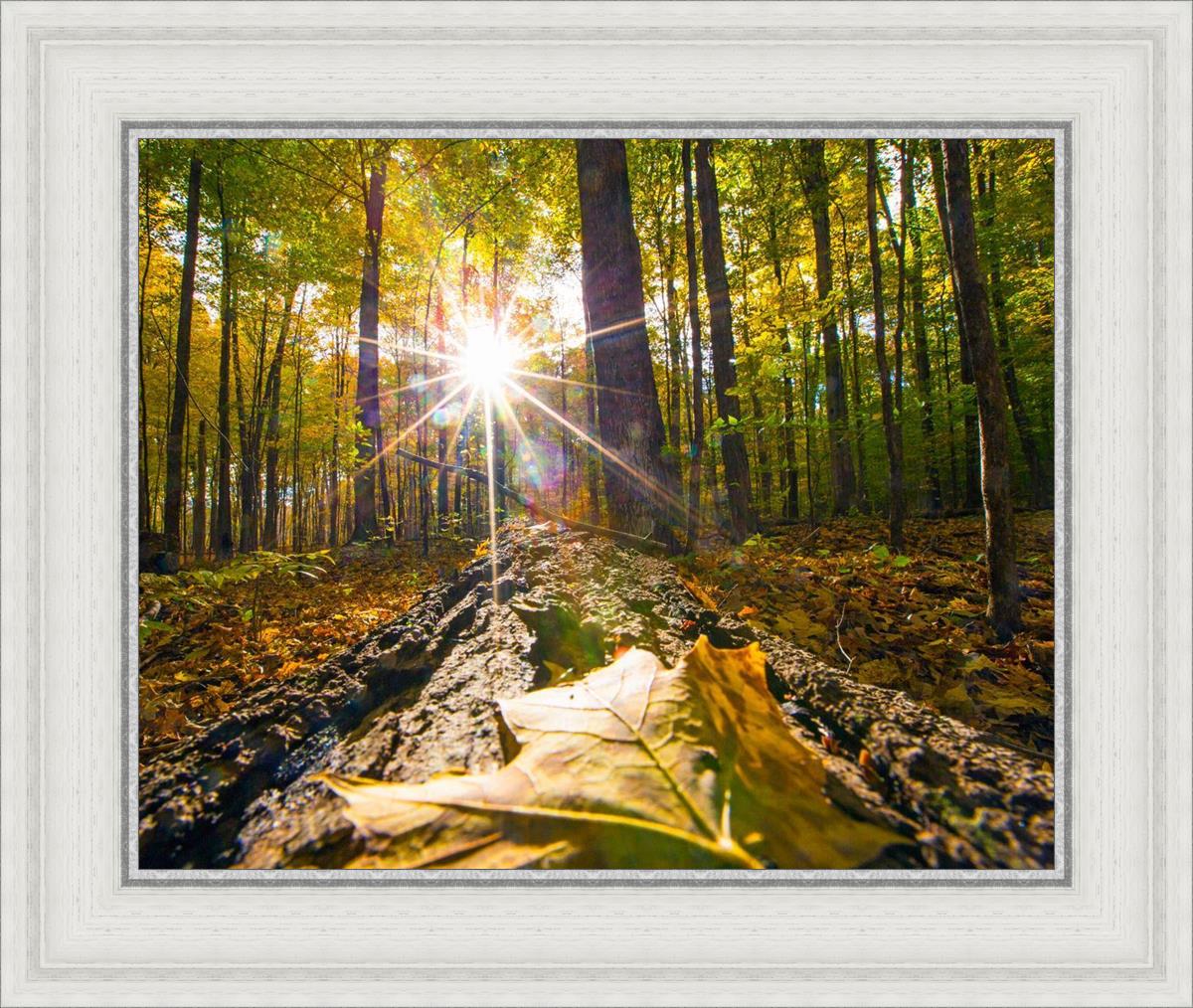 Plate 4 - Suddenly a Light Descended!