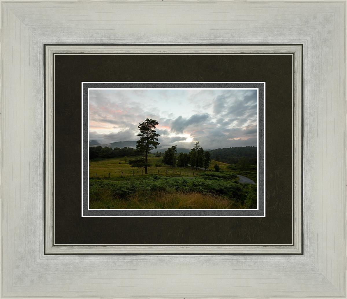 Plate 3 - Tarn Hows Above Ambleside