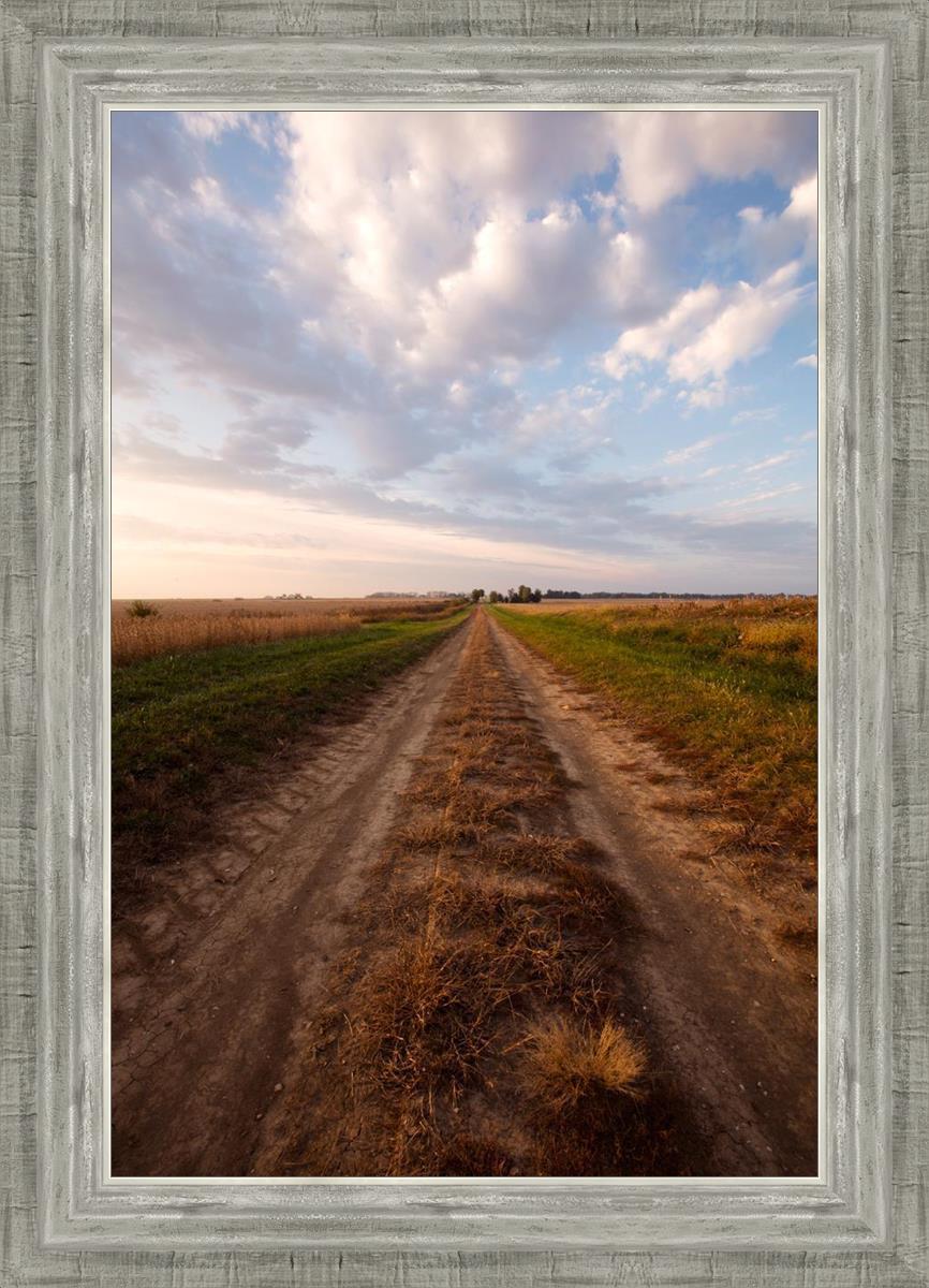 Plate 8 - Calm Before the Storm Vertical