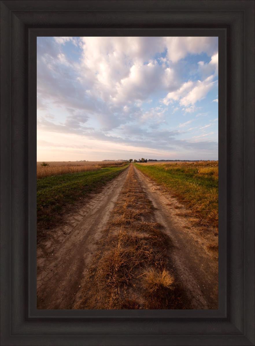 Plate 8 - Calm Before the Storm Vertical