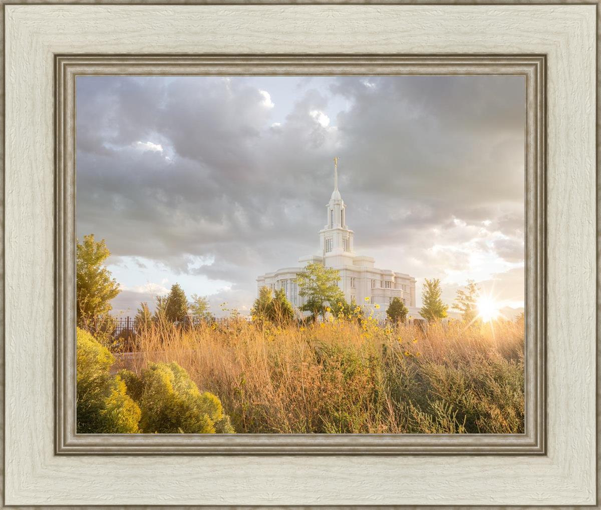 Payson Sunflowers