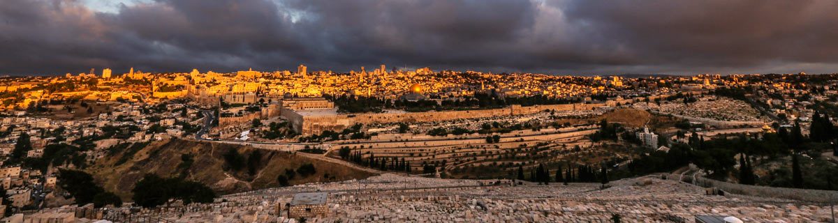 Scot Facer Proctor - The Holy Land