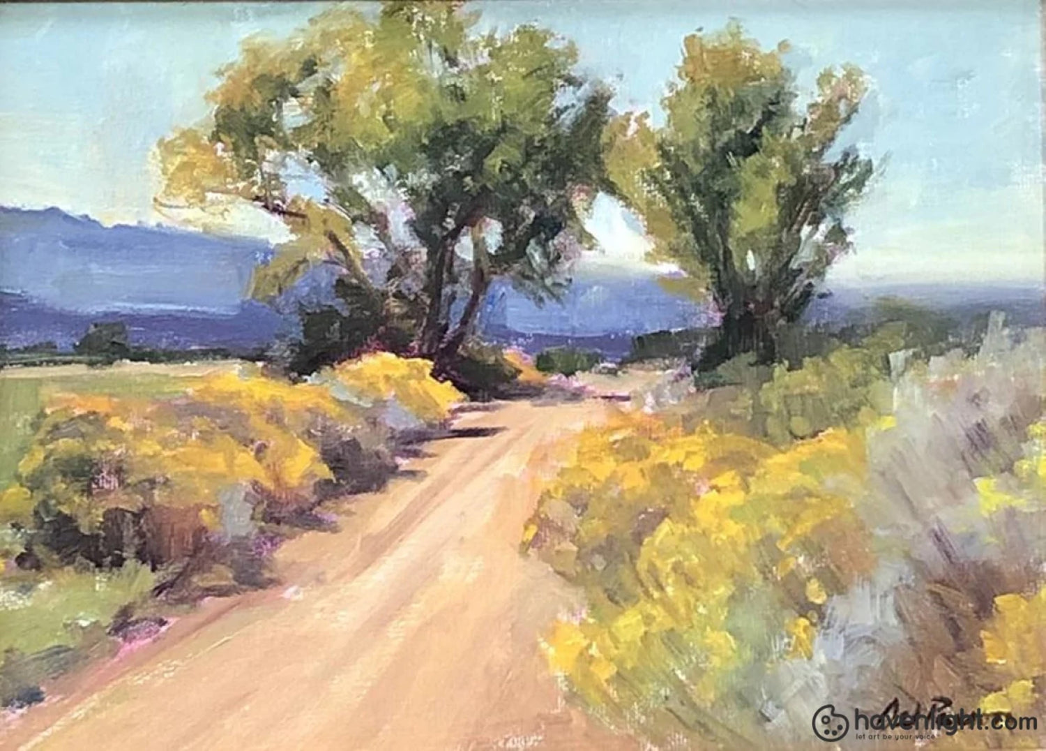 Oil and Water Color Paintings