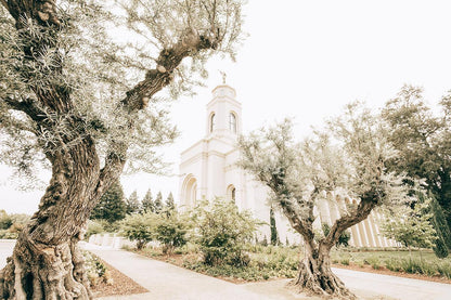 Feather River California Serenity Gallery Wrap