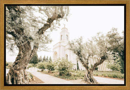 Feather River California Serenity Gallery Wrap