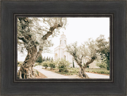 Feather River California Serenity