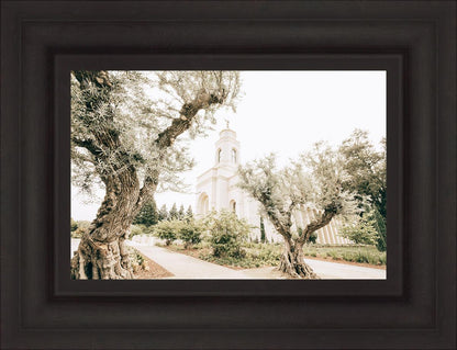 Feather River California Serenity