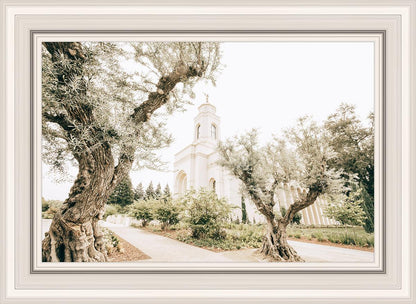 Feather River California Serenity