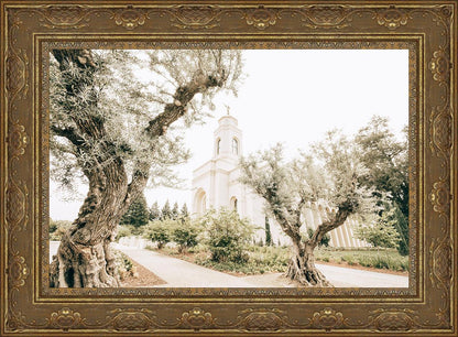 Feather River California Serenity