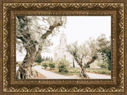 Feather River California Serenity