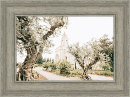 Feather River California Serenity