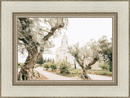 Feather River California Serenity