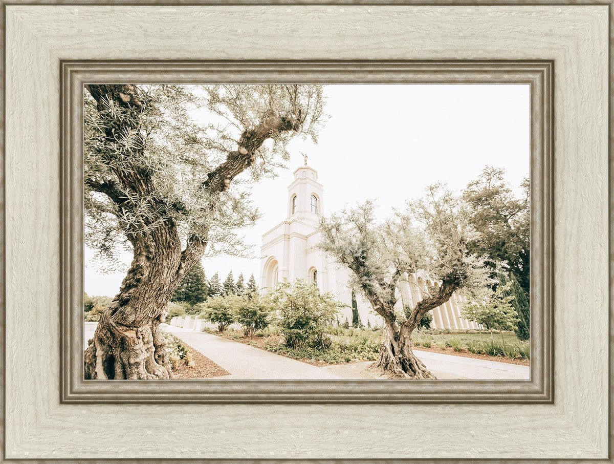 Feather River California Serenity