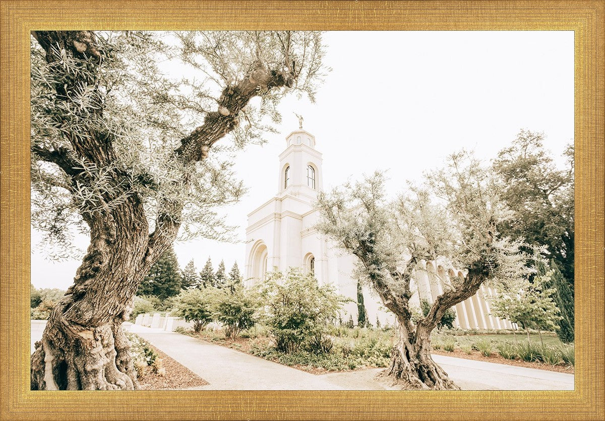 Feather River California Serenity