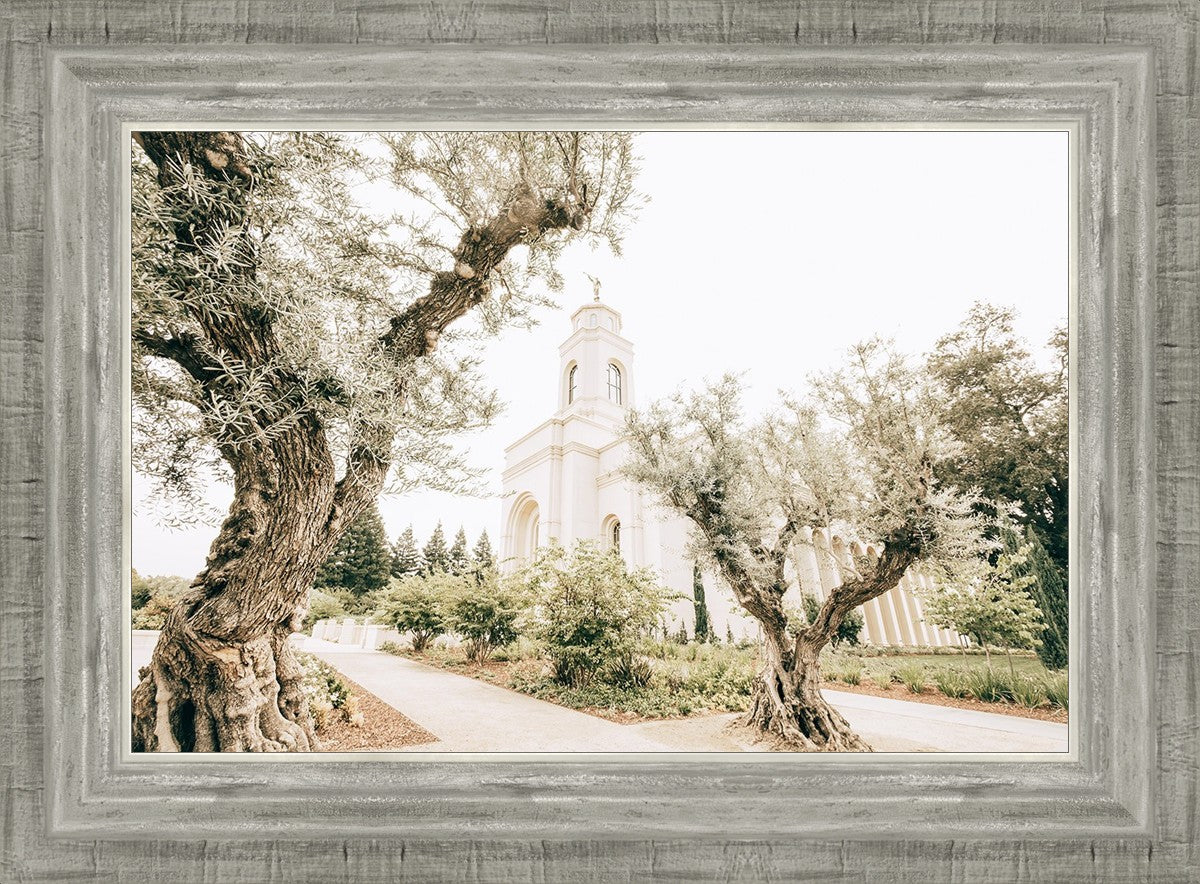 Feather River California Serenity