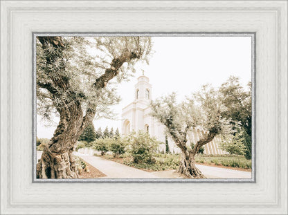 Feather River California Serenity