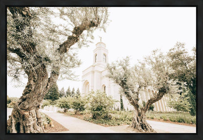 Feather River California Serenity Gallery Wrap